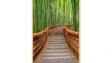 Стеновая панель ПВХ Век с фотопечатью Бамбук натуральный, Сад в Киото панно 5 шт